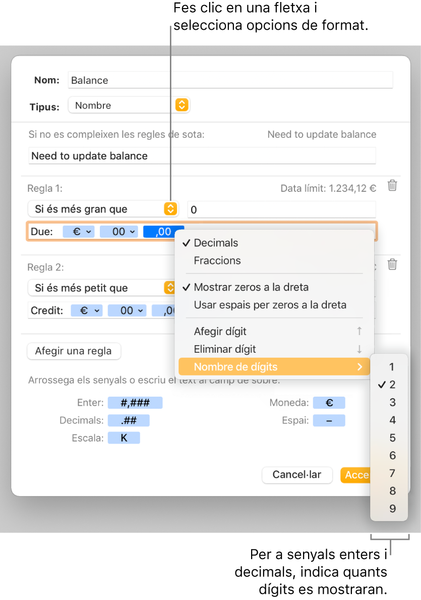 La finestra de format de cel·la personalitzat, amb controls per seleccionar les opcions de format personalitzat.