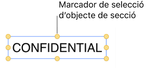 Un objecte amb marcadors de selecció.