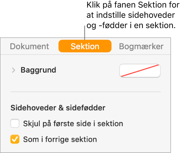 Indholdsoversigten Dokument, hvor fanen Sektion øverst i indholdsoversigten er valgt. Sidehoveder & sidefødder i indholdsoversigten med afkrydsningsfelter ud for “Skjul på første side i sektion” og “Som i forrige sektion”.