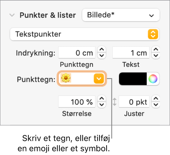 Sektionen Punkter & lister i indholdsoversigten Format. I feltet Punkttegn vises emoji-symbolet Blomst.