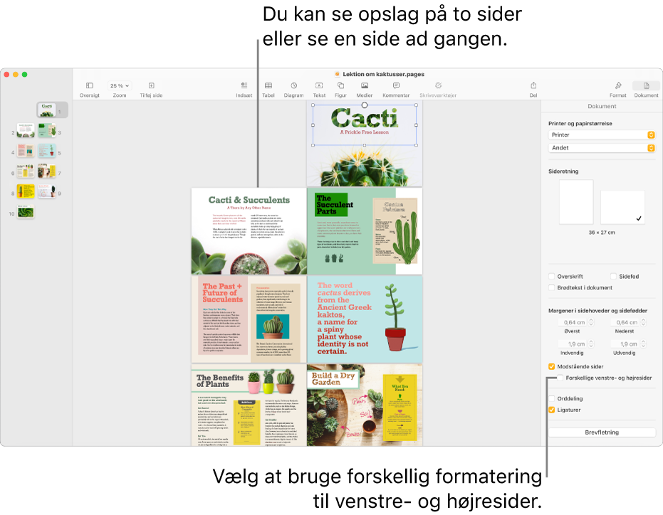 Pages-vinduet med miniaturer af sider og dokumentsider vist som opslag på to sider. Afkrydsningsfeltet “Forskellige venstre- og højresider” i indholdsoversigten Dokument til højre er ikke valgt.