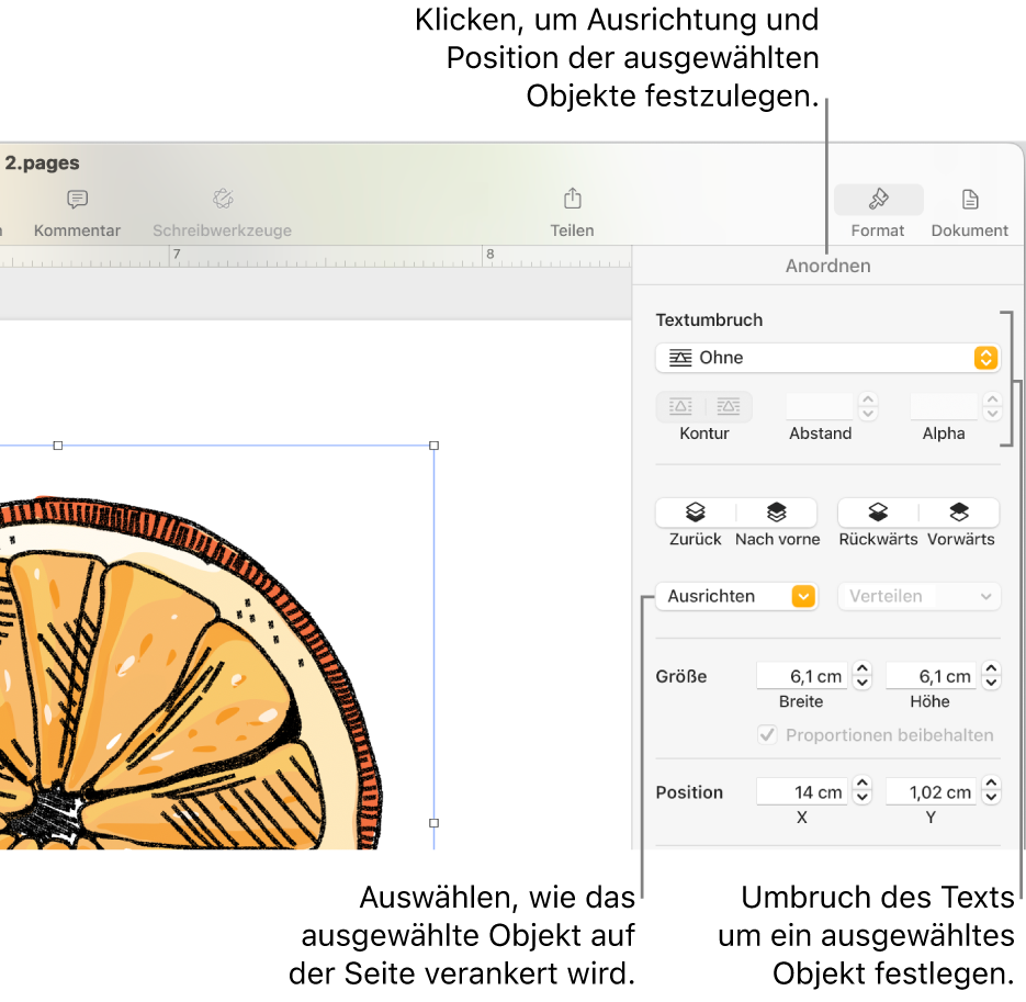 Das Menü „Format“ mit der angezeigten Seitenleiste „Anordnen“. Die Einstellungen „Platzierung des Objekts“ ganz oben in der Seitenleiste „Anordnen“ mit den Einstellungen „Textumbruch“ unten