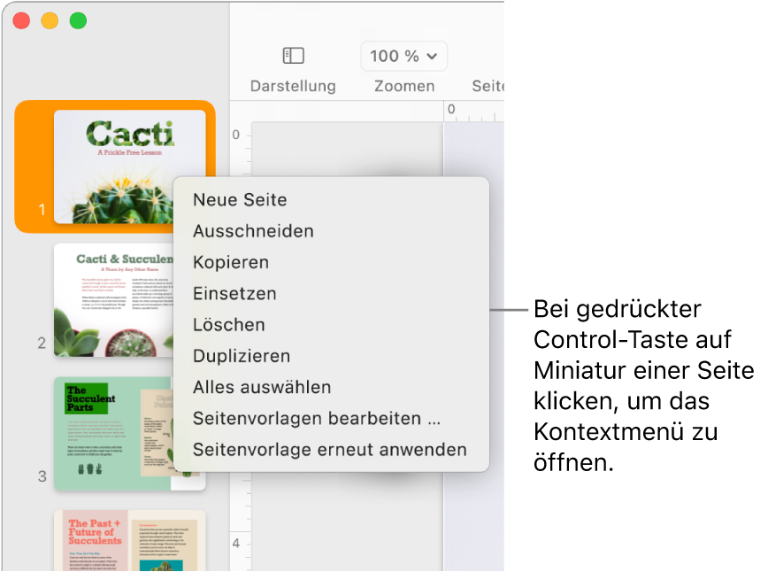 Miniaturdarstellung der Seiten mit einer ausgewählten Miniatur und dem geöffneten Kontextmenü
