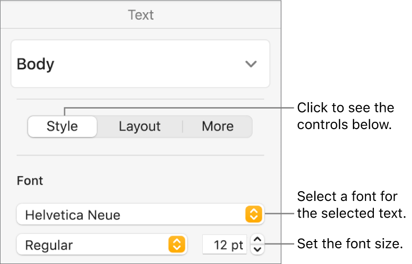 Text controls in the Style section of the Format sidebar for setting font and font size.