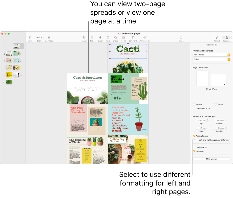 The Pages window with page thumbnails and document pages viewed as two-page spreads. In the Document sidebar on the right, the “Left and right pages are different” tick box is unselected.