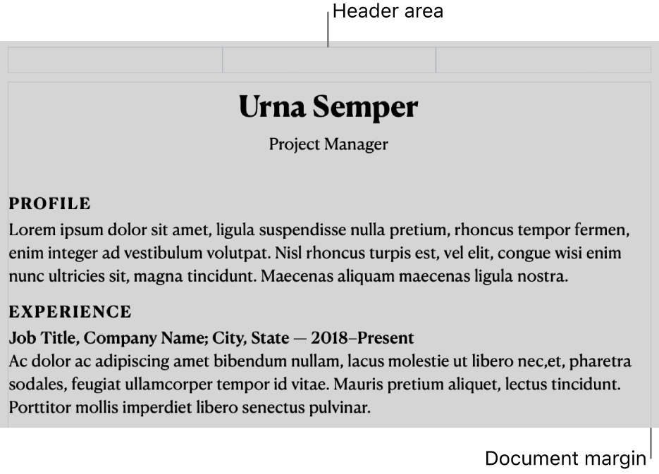 The layout view showing header area and document margins.