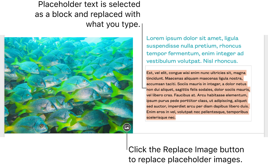 Placeholder text and images.