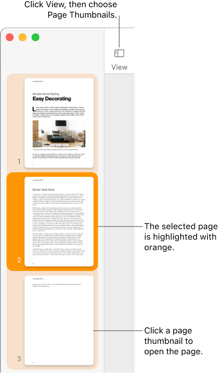 The sidebar on the left side of the Pages window with Page Thumbnails view open and a selected page highlighted in dark orange.