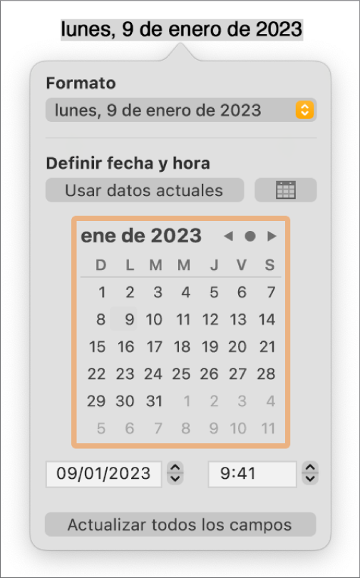 Los controles de Fecha y hora con el menú desplegable Formato, y los controles Definir fecha y hora.