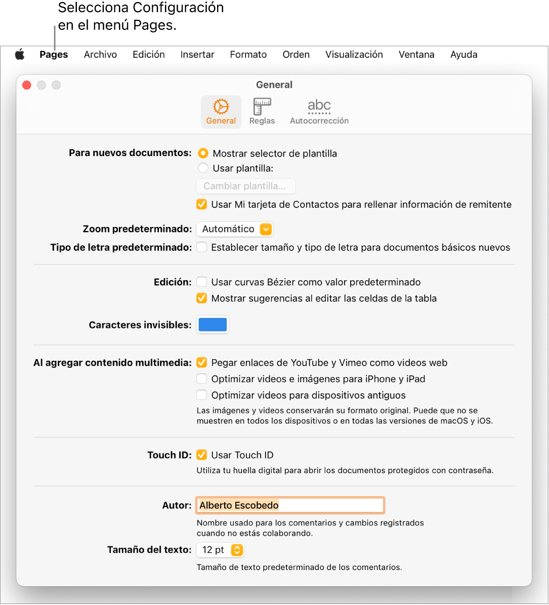 El panel de Configuración de Pages abierto en la pestaña General.