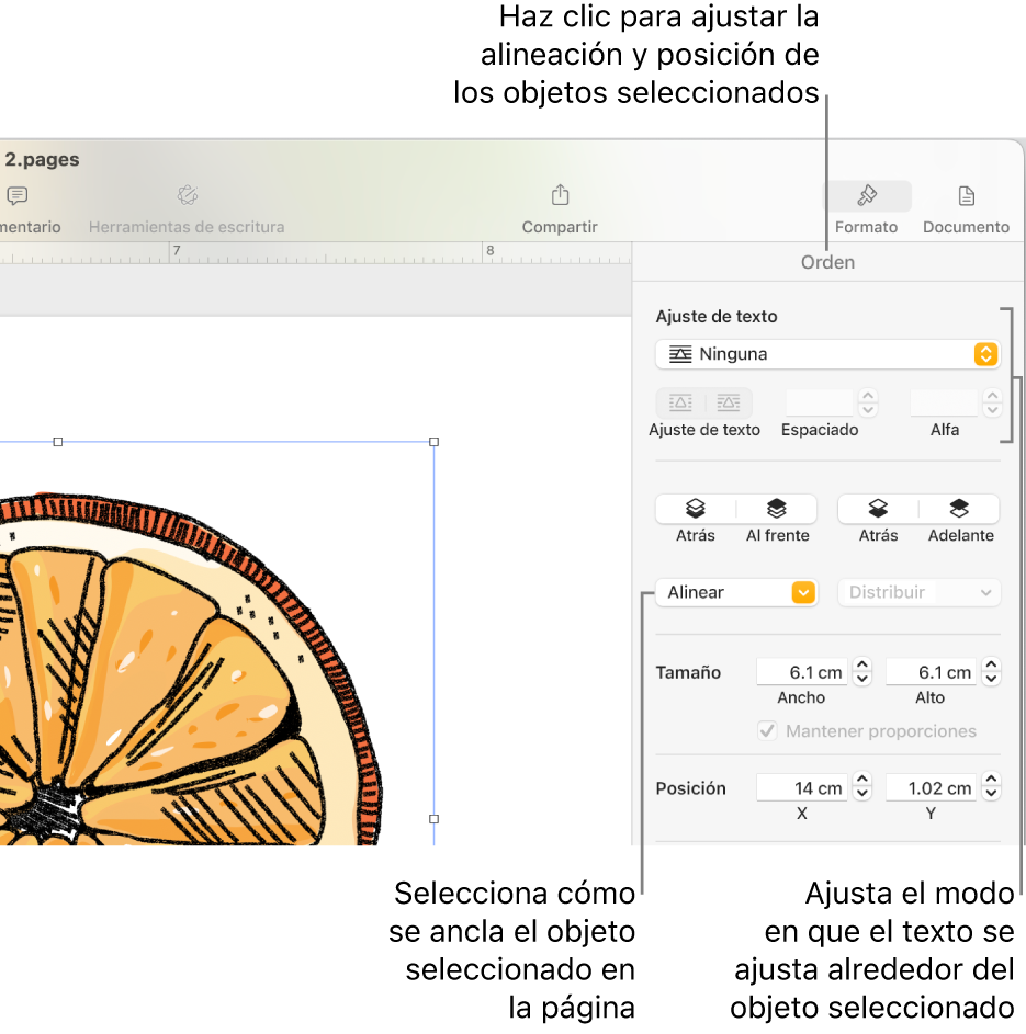 El menú Formato con la barra lateral Orden mostrándose. La configuración Colocación del objeto se sitúa en la parte superior de la barra lateral Orden con la configuración Ajuste de texto en la parte inferior.