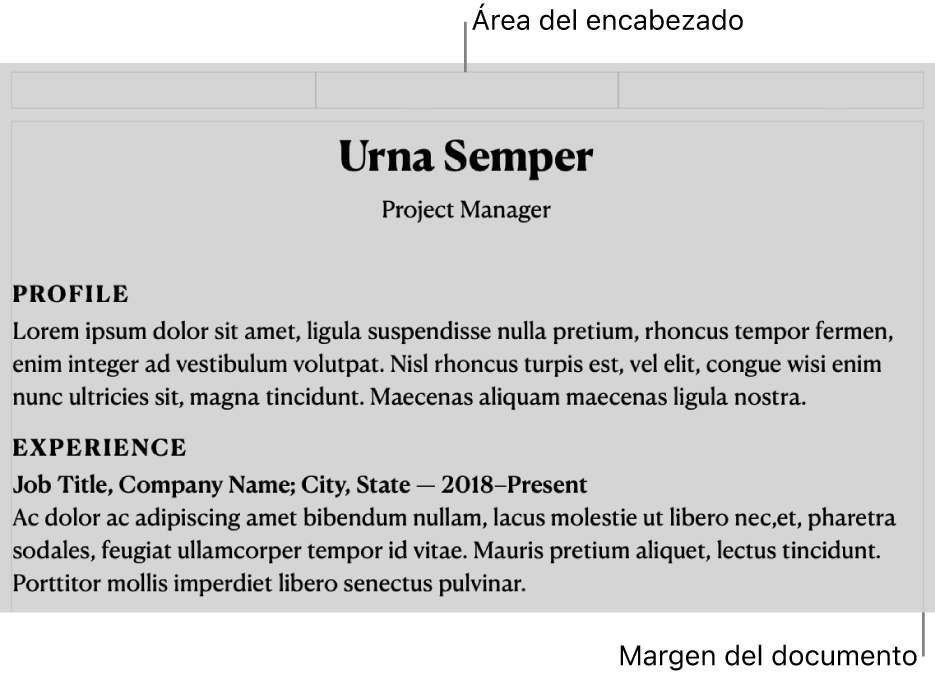 La visualización de disposición mostrando el área del encabezado y los márgenes del documento.