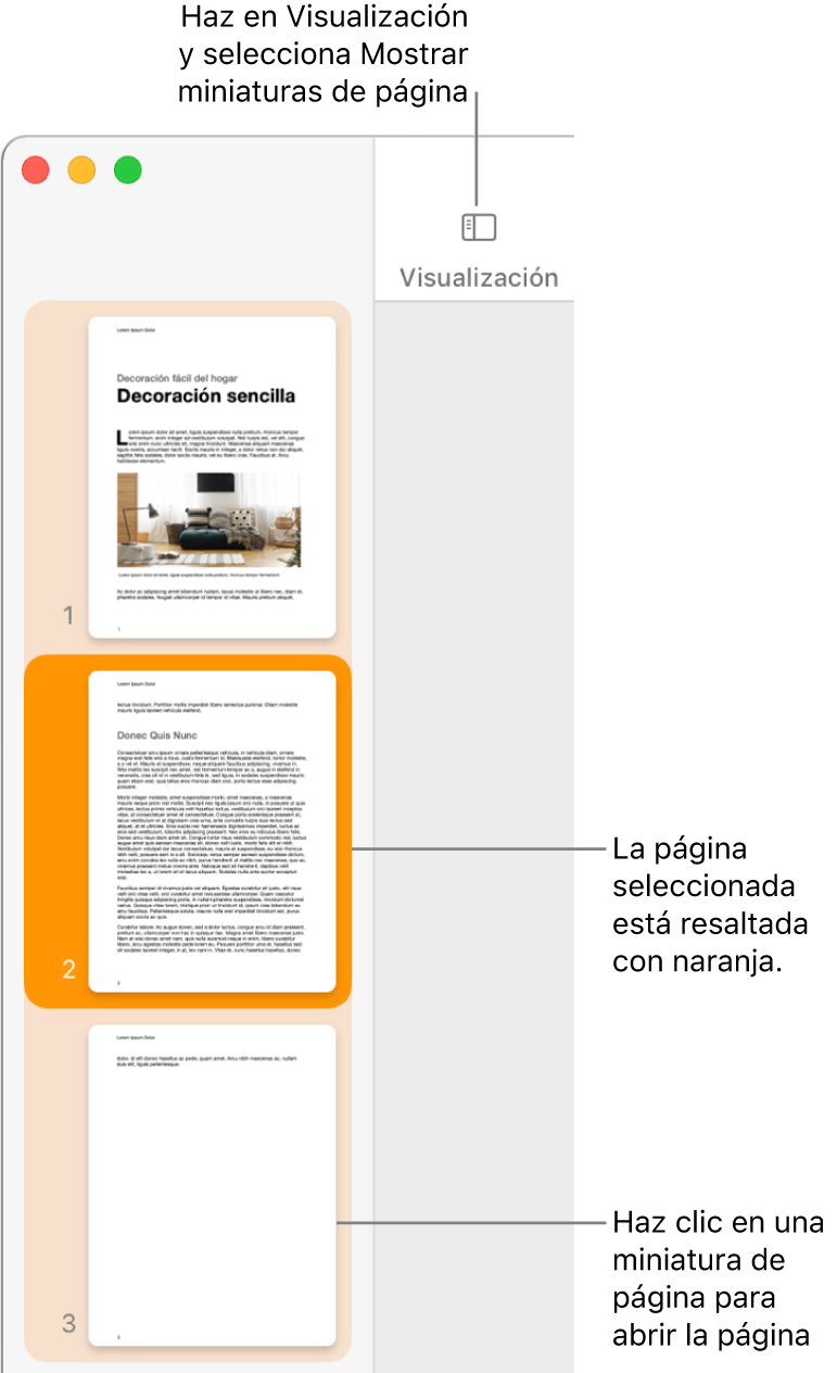 La barra lateral a la izquierda de la ventana de Pages con la visualización Miniaturas de página abierta, y una página seleccionada que se resalta en naranja oscuro.