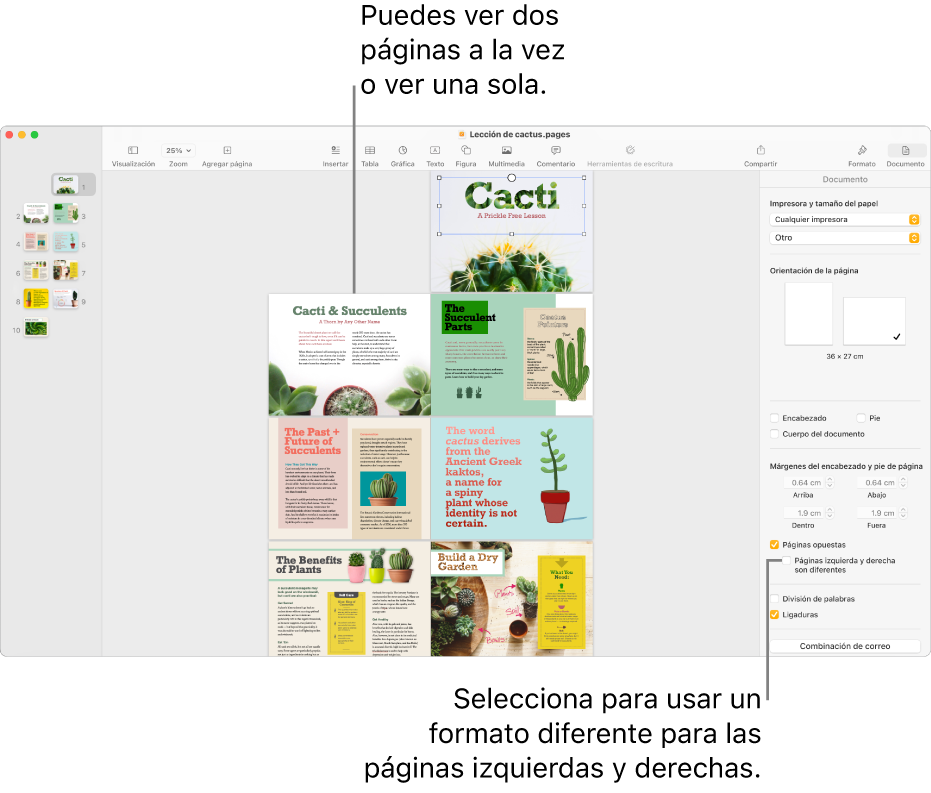 La ventana de Pages con las miniaturas de las páginas y las páginas del documento en visualización de dos páginas. La casilla Las páginas izquierda y derecha son distintas no está marcada en la barra lateral Documento que se encuentra la derecha.