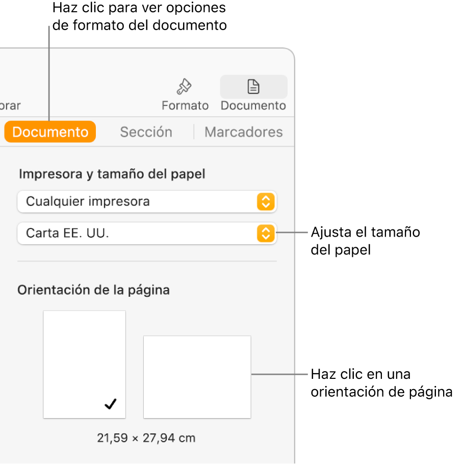 La barra lateral Documento con la pestaña Documento de la parte superior seleccionada. En la barra lateral hay un menú desplegable para ajustar el tamaño del papel y botones para la orientación vertical u horizontal.