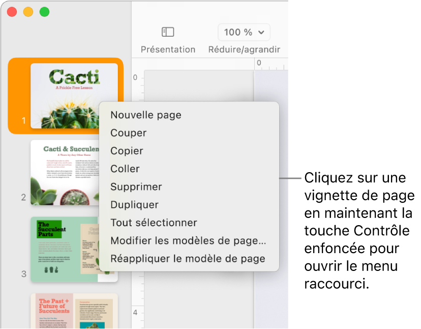 Présentation Vignettes de page avec une vignette sélectionnée et le menu contextuel ouvert.