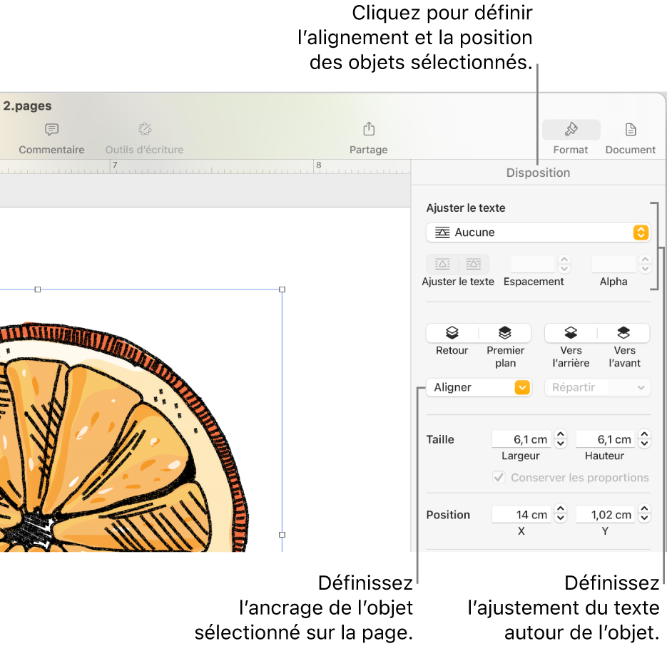 Le menu Format avec la barre latérale Disposition affichée. Les réglages Placement d’objet sont en haut de la barre latérale Disposition, au-dessus des réglages Ajustement du texte.