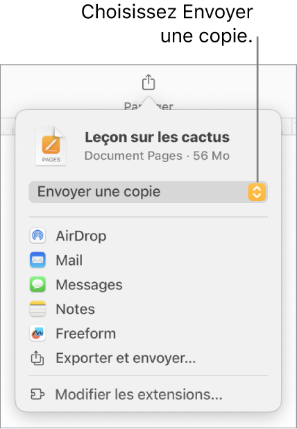 Le menu Partager avec l’option Envoyer une copie sélectionnée dans le haut.