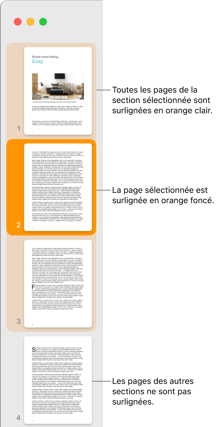 La barre latérale de la présentation en vignettes avec la page sélectionnée en surbrillance orange foncé et toutes les pages de la section sélectionnée en surbrillance orange clair.