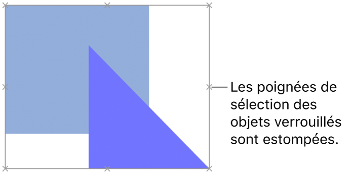 Des objets verrouillés présentant des poignées de sélection estompées.