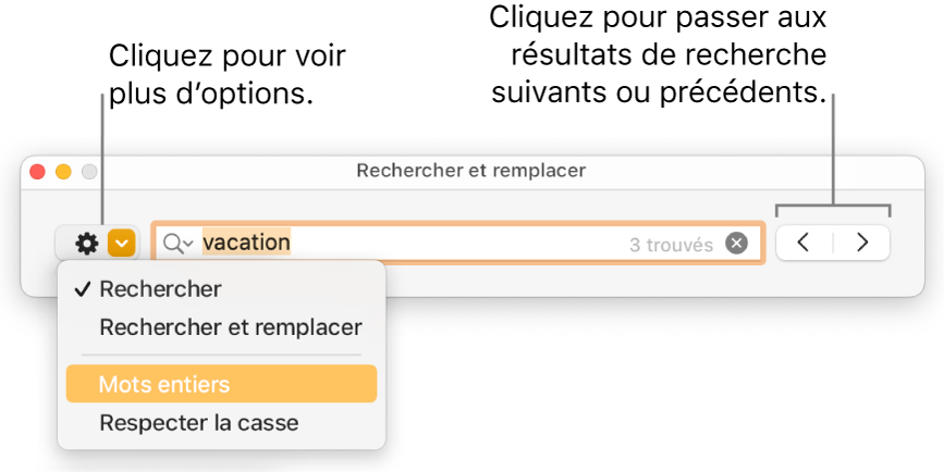 La fenêtre Rechercher et remplacer avec le menu contextuel qui affiche les options Rechercher, Rechercher et remplacer, Mots entiers et Respecter la casse. Les flèches situées à droite vous permettent d’accéder directement aux résultats de recherche précédents ou suivants.