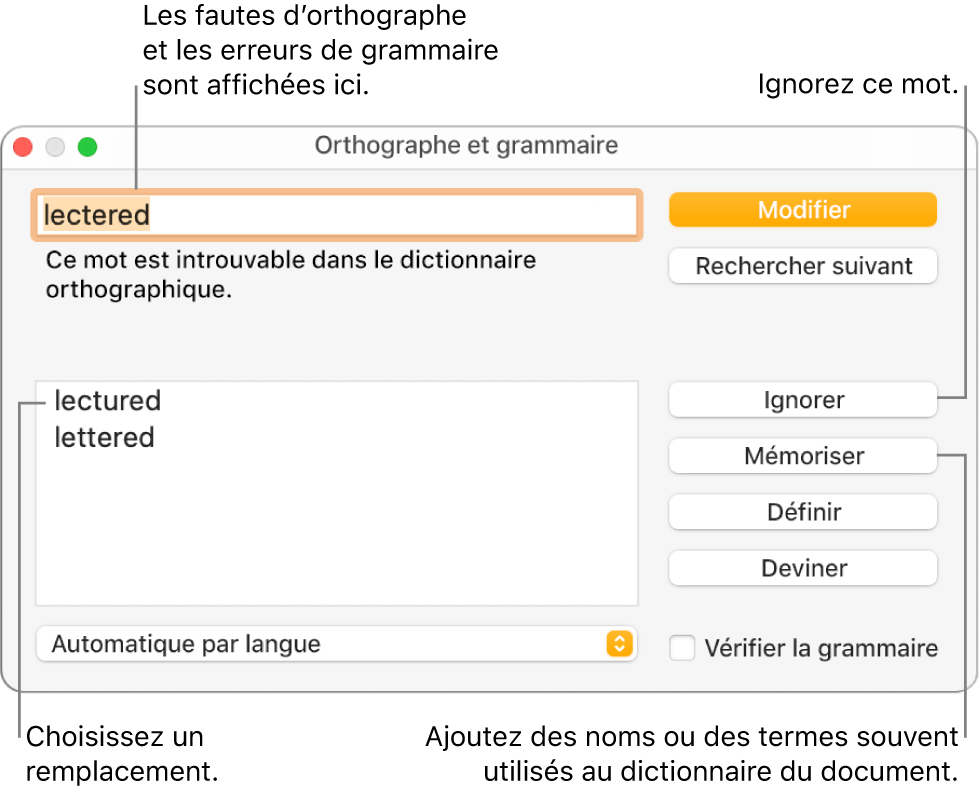 La fenêtre Orthographe et grammaire.