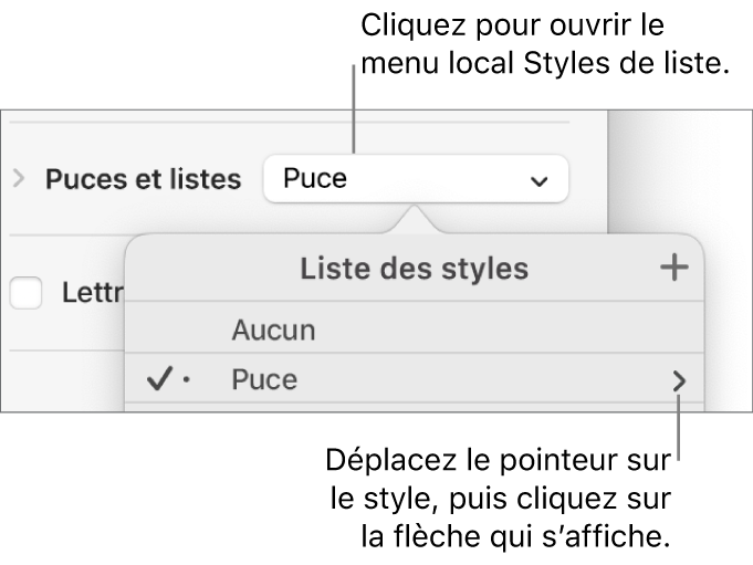 Le menu local Liste des styles avec un style sélectionné et une flèche à sa droite.