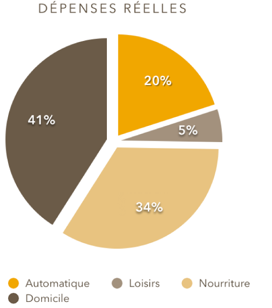 Un diagramme circulaire avec portions séparées.