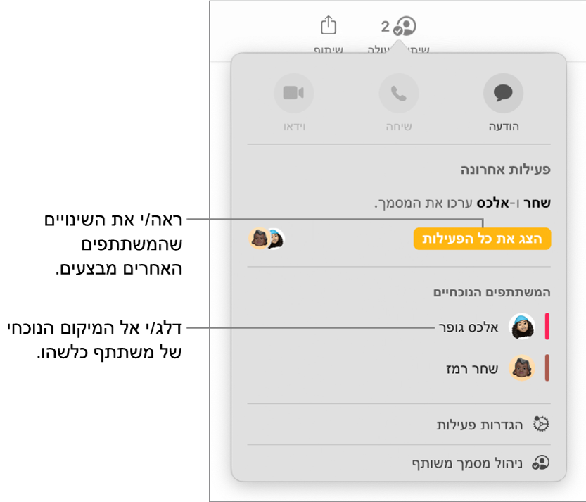 תפריט ״שיתוף פעולה״ שרואים בו שני משתתפים פעילים כעת.