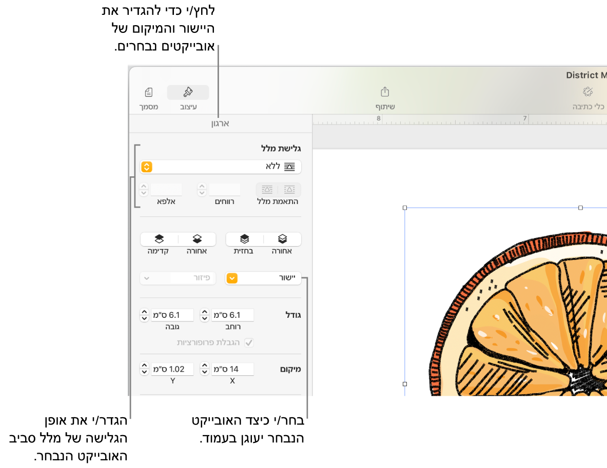 תפריט ״עיצוב״ עם סרגל הצד ״ארגן״ מוצג. ההגדרות של ״מיקום אובייקט״ מוצגות בראש סרגל הצד ״ארגן״ וההגדרות של ״גלישת מלל״ מתחת.