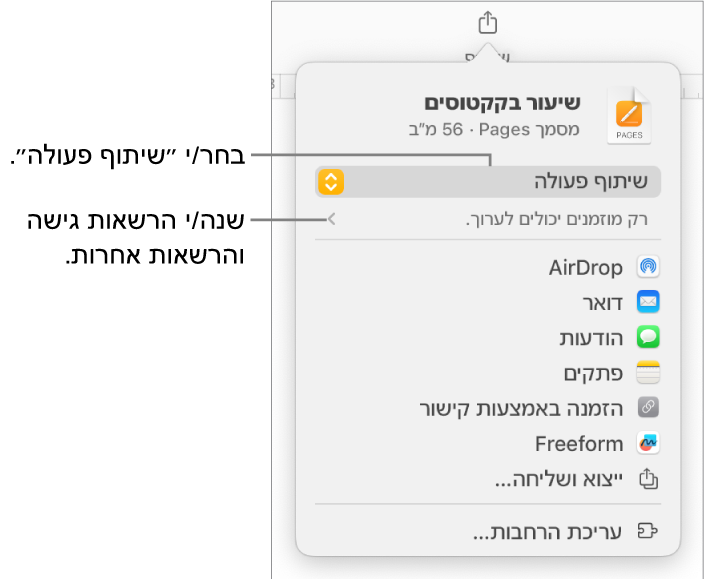 תפריט השיתוף כאשר האפשרות ״שיתוף פעולה״ נבחרת בחלק העליון ומתחתיה הגדרות הגישה וההרשאות.