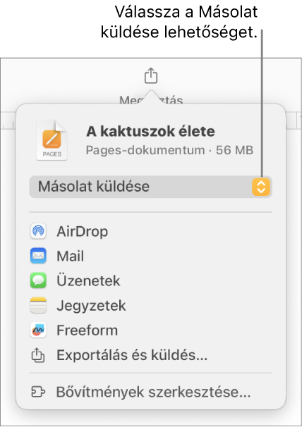 A Megosztás menü a felül elhelyezkedő Másolat küldése lehetőséggel.