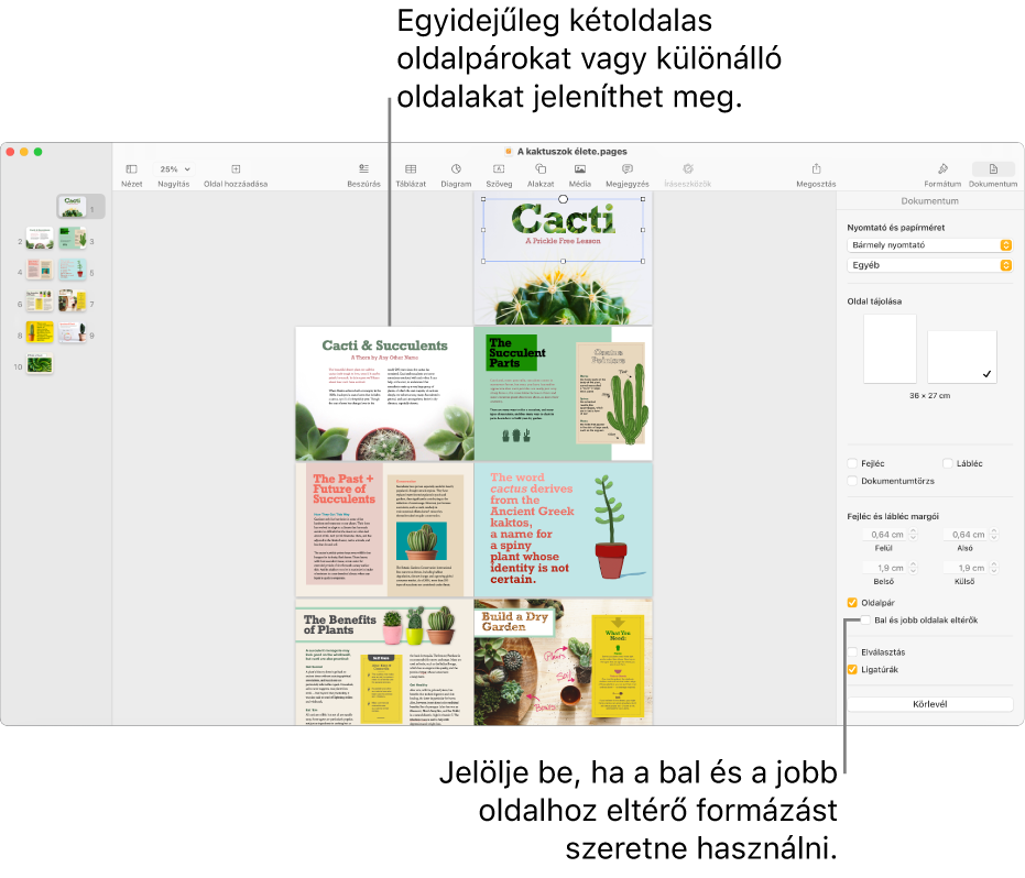 A Pages ablaka, amelyben az oldalbélyegképek és a dokumentumoldalak oldalpárokként jelennek meg. A jobb oldalon található Dokumentum oldalsávon a „Bal és jobb oldalak eltérők” jelölőnégyzet nincs bejelölve.