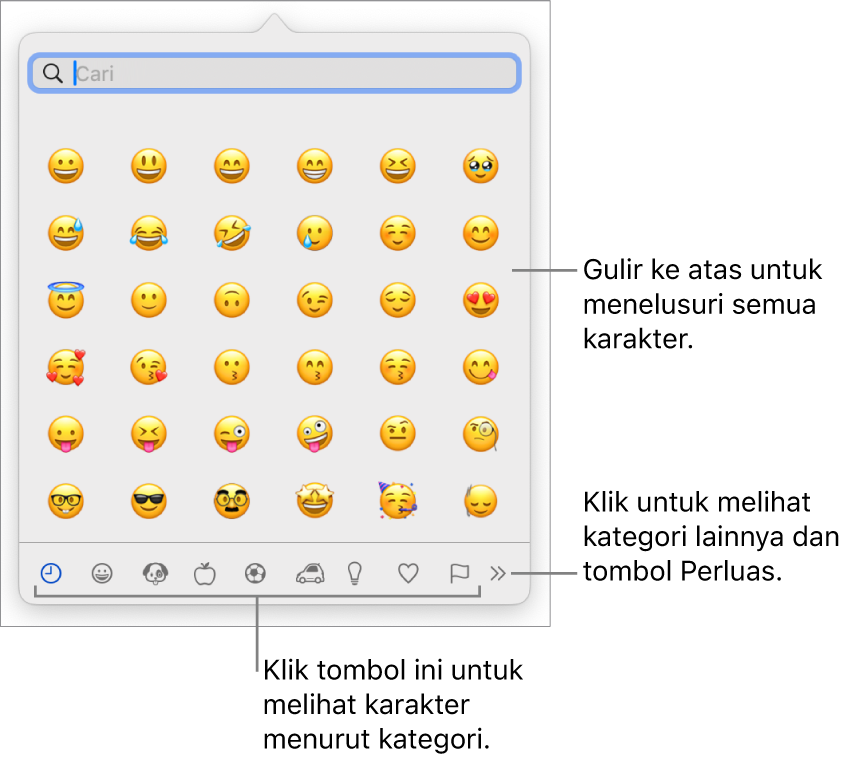 Penampil Karakter menampilkan emoji, tombol untuk kategori simbol yang berbeda di bagian bawah, dan tombol untuk menampilkan kategori lainnya serta tombol Perluas.