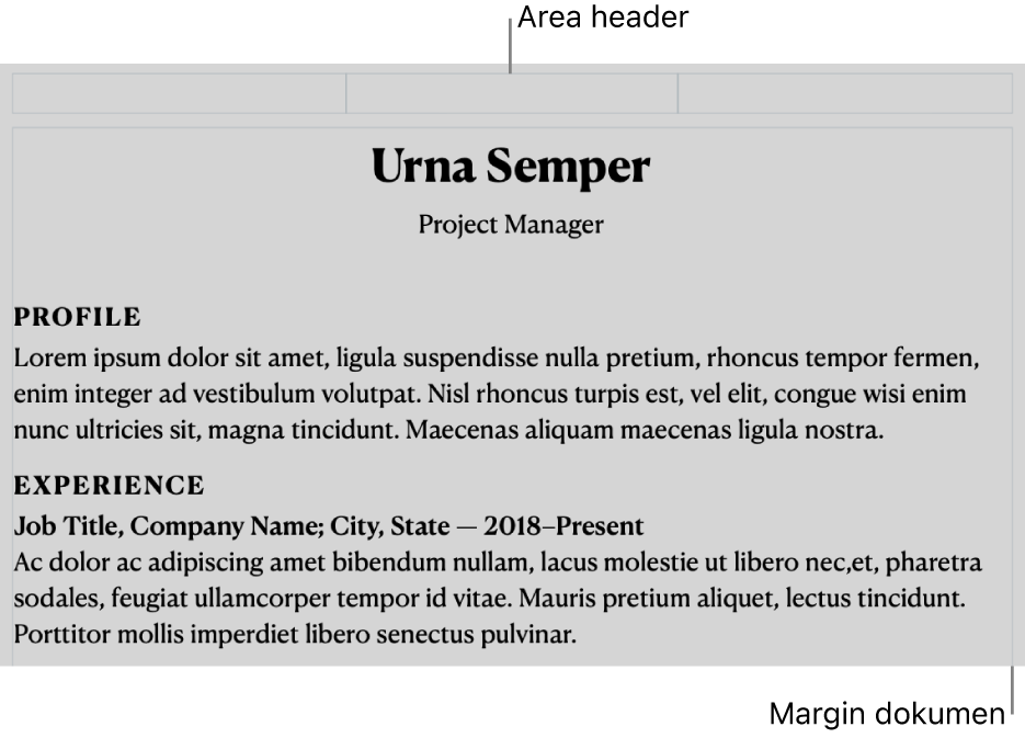 Tampilan tata letak yang menampilkan area header dan margin dokumen.