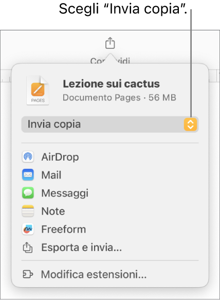 Il menu Condividi con l’opzione “Invia copia” selezionata in alto.