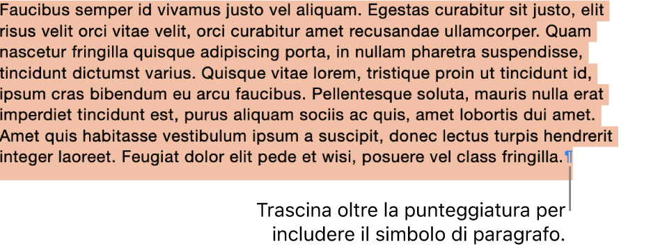 Un paragrafo selezionato, con il simbolo di paragrafo incluso nella selezione.