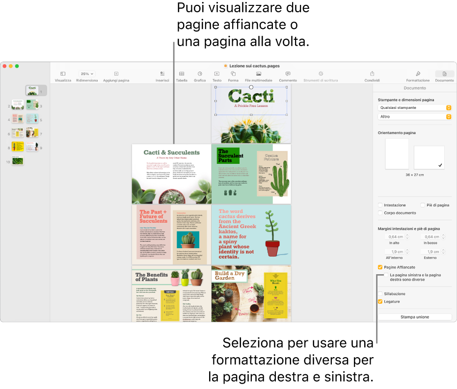 La finestra di Pages con miniature di pagina e pagine di documenti visualizzate come due pagine affiancate. Nella barra laterale Documento a destra, il riquadro “La pagina sinistra e la pagina destra sono diverse” non è selezionato.