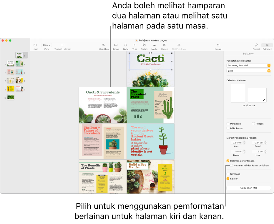 Tetingkap Pages dengan imej kecil halaman dan halaman dokumen yang dilihat sebagai hamparan dua halaman. Dalam bar sisi Dokumen di sebelah kanan, kotak semak “Halaman kiri dan kanan berlainan” dinyahpilih.