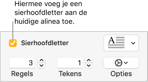 Het aankruisvak 'Sierhoofdletter' is ingeschakeld en rechts ervan staat een pop‑upmenu. Eronder staan regelaars voor het instellen van de regelhoogte, het aantal tekens en andere opties.