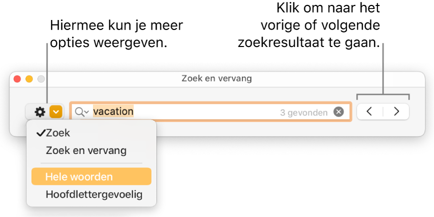 Het venster 'Zoek en vervang' met een pop‑upmenu met de opties 'Zoek', 'Zoek en vervang', 'Hele woorden' en 'Hoofdlettergevoelig'. Met de pijlen aan de rechterkant kun je naar het vorige of volgende zoekresultaat gaan.