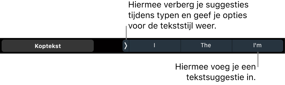 De Touch Bar op een MacBook Pro met regelaars voor het kiezen van een tekststijl, het verbergen van suggesties tijdens het typen en het invoegen van suggesties.