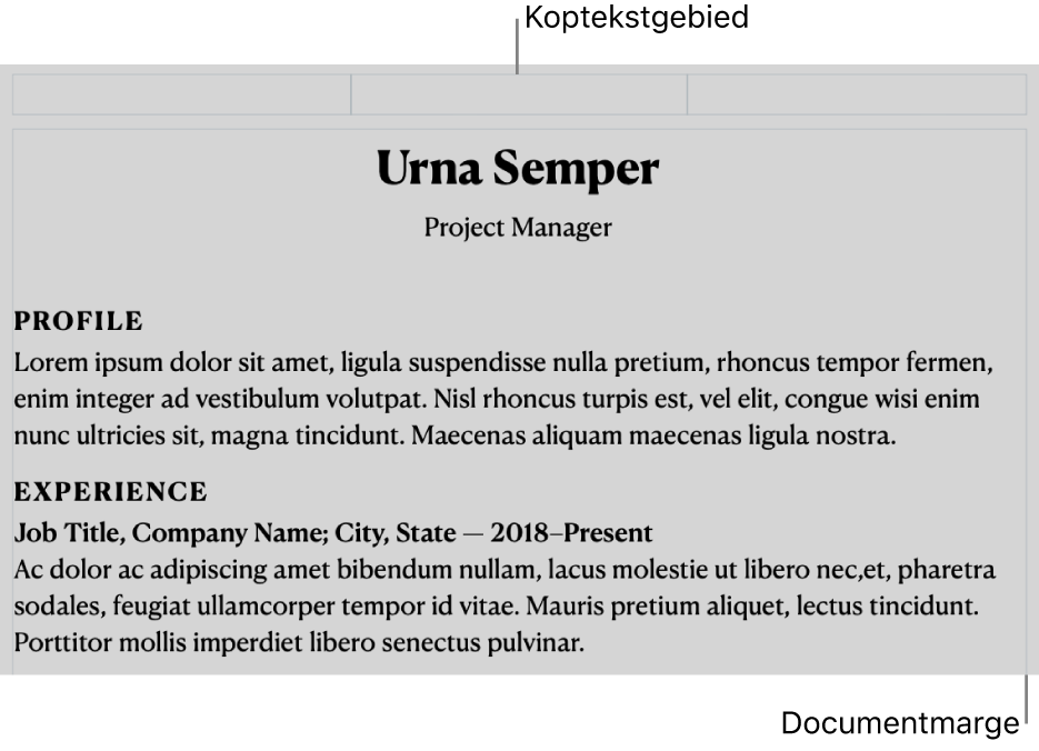 De lay-outweergave met het koptekstgebied en documentmarges.