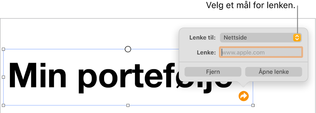 Lenkeredigerer-kontrollene med Nettside markert, og Fjerne lenke- og Åpne lenke-knappene nederst.