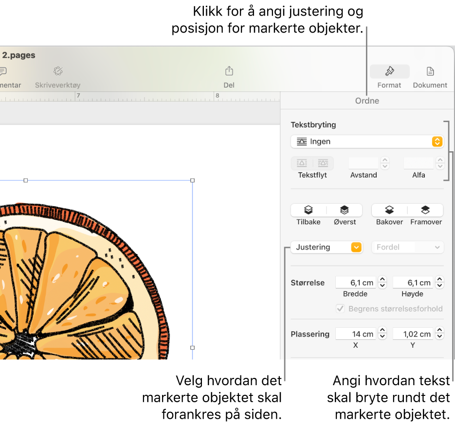 Format-menyen med Ordne-sidepanelet synlig. Objektplassering-innstillingene er øverst i Ordne-sidepanelet med Tekstbryting-innstillingene under.