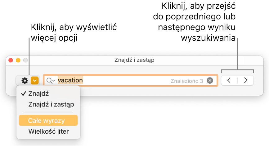 Okno Znajdź i zastąp oraz menu podręczne zawierające opcje Znajdź, Znajdź i zastąp, Całe wyrazy oraz Wielkość liter. Strzałki znajdujące się po prawej umożliwiają przechodzenie do poprzedniego lub następnego wyniku wyszukiwania.