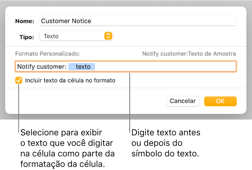 Janela de formato personalizado da célula, com controles para escolher formatação de texto personalizada.