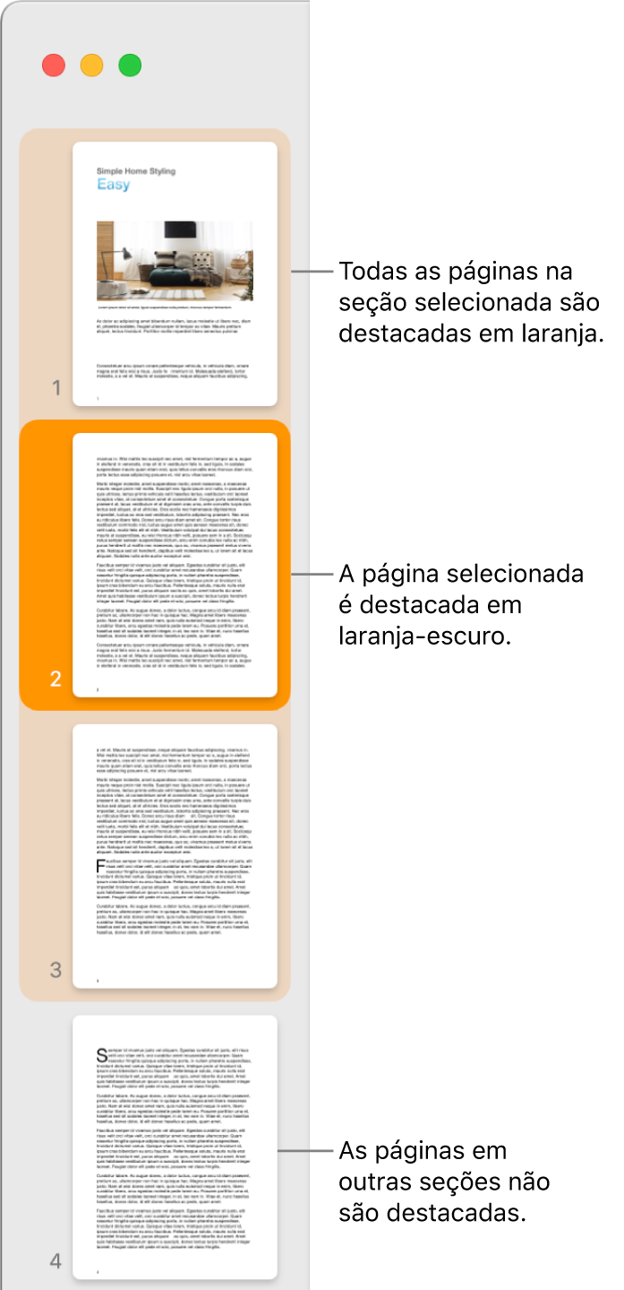 Barra lateral Visualização de Miniaturas, com a página selecionada destacada em laranja escuro e todas as páginas da seção selecionada destacadas em laranja claro.