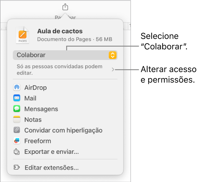 O menu "Partilha” com “Colaboração” selecionada na parte superior e as definições de acesso e permissão por baixo.