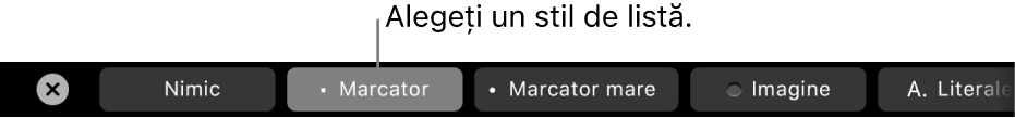 Bara Touch Bar de pe MacBook Pro, cu comenzi pentru alegerea unui stil de listă.